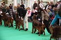 Crufts2011 700